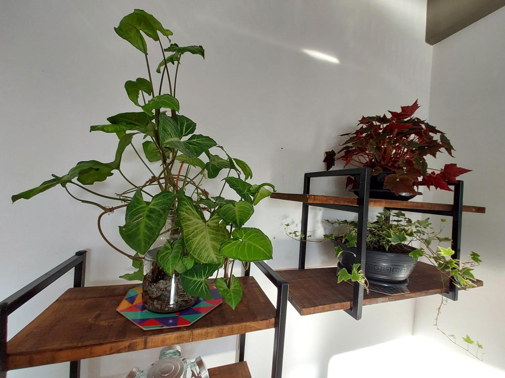 Proximo Dos Melhores Hoteis Do Centro, 2 Quartos, Portaria 24H Florianópolis 외부 사진